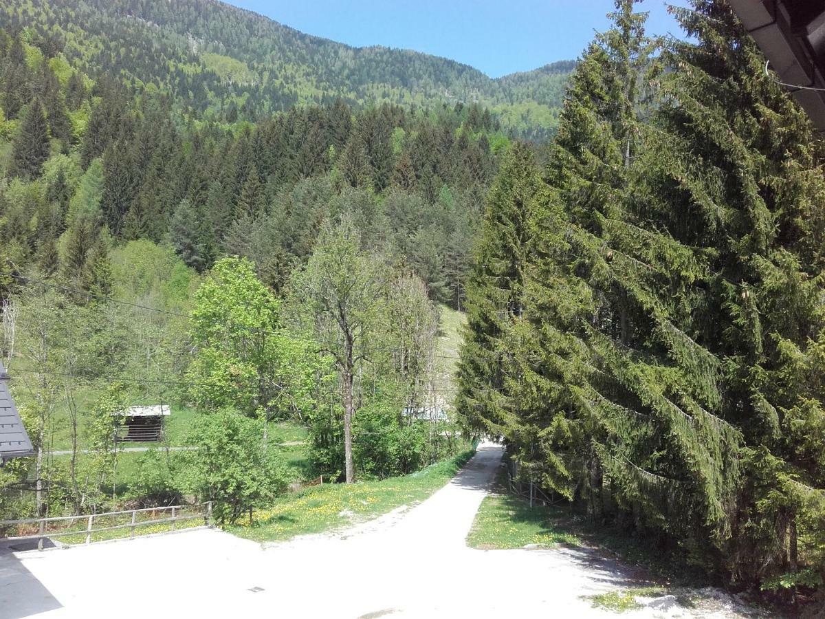 Klass 203 Kranjska Gora Esterno foto